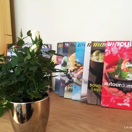 Le Petit Neptune Apartment *